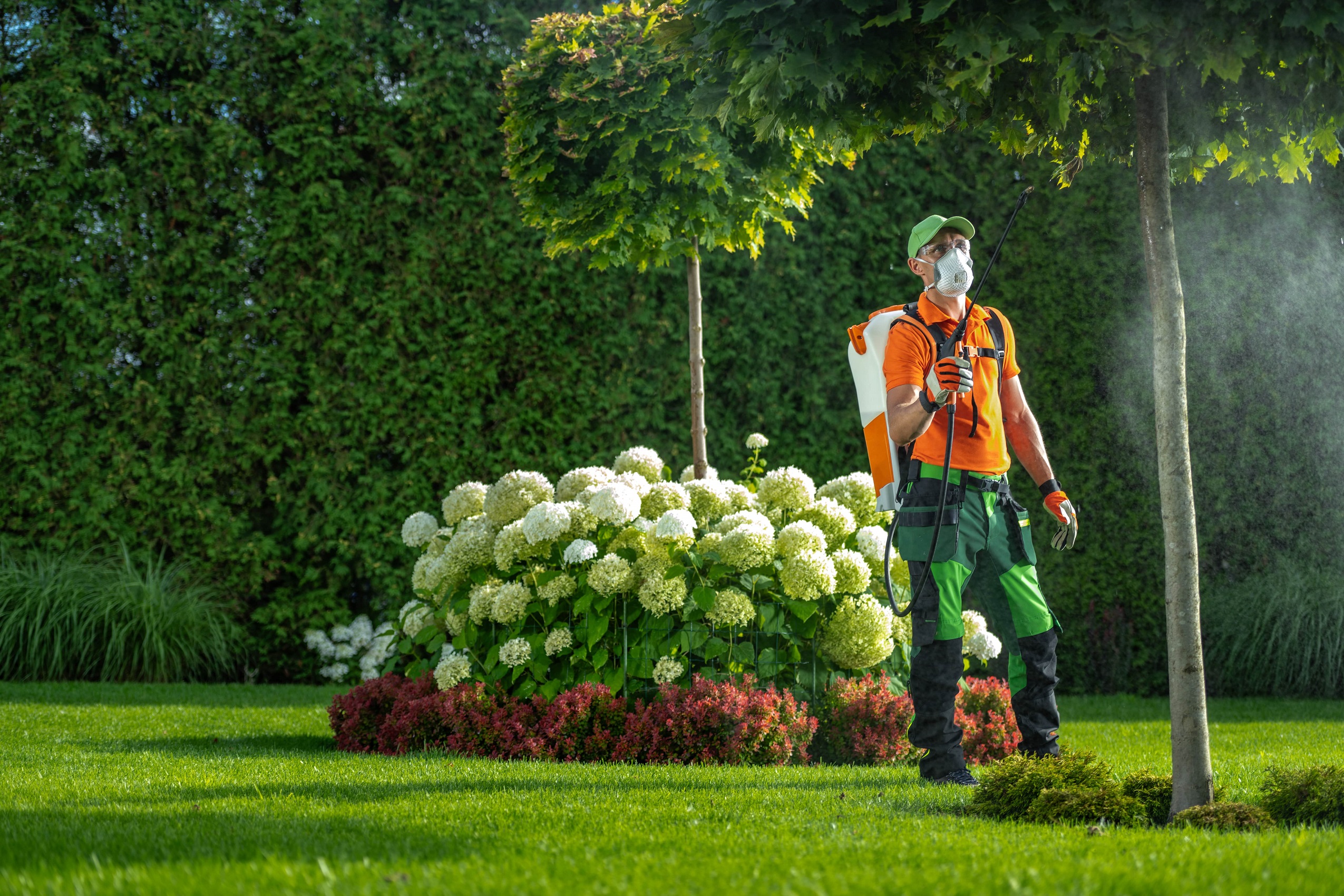 Lawnscaping & hardscaping