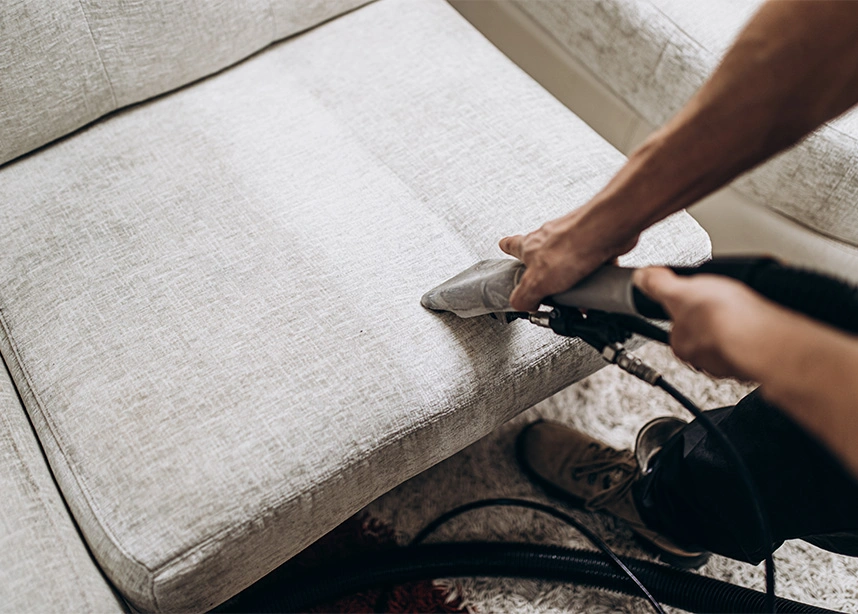 Professional carpet cleaning with vacuum and upholstery tool removing dirt from white carpet surface - Deep cleaning in the DC Metro area.